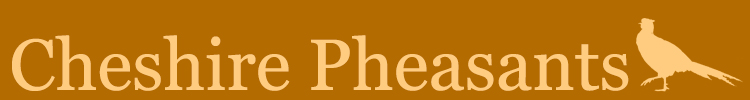 Cheshire Pheasants